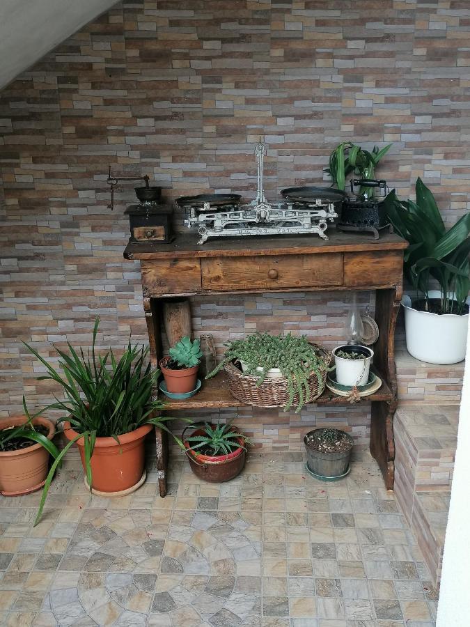Apartment Vellico